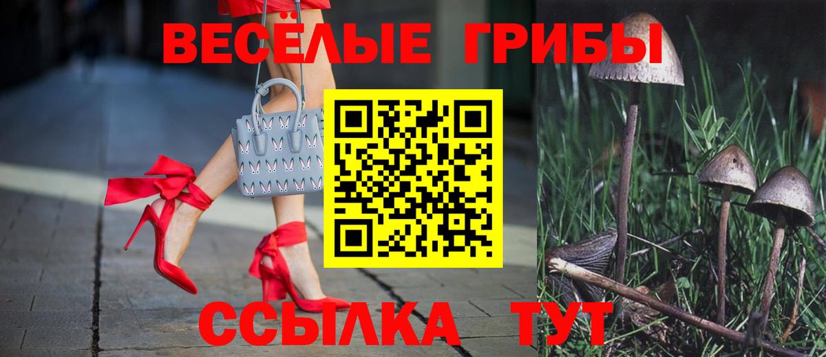 хочу наркоту  Галлюциногенные грибы GOLDEN TEACHER  Вход с VPN  Сызрань 